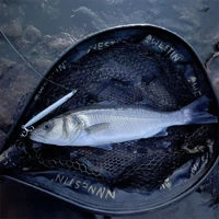 Savage Gear Sandeel Pencil SW Lures 12.5cm/19g